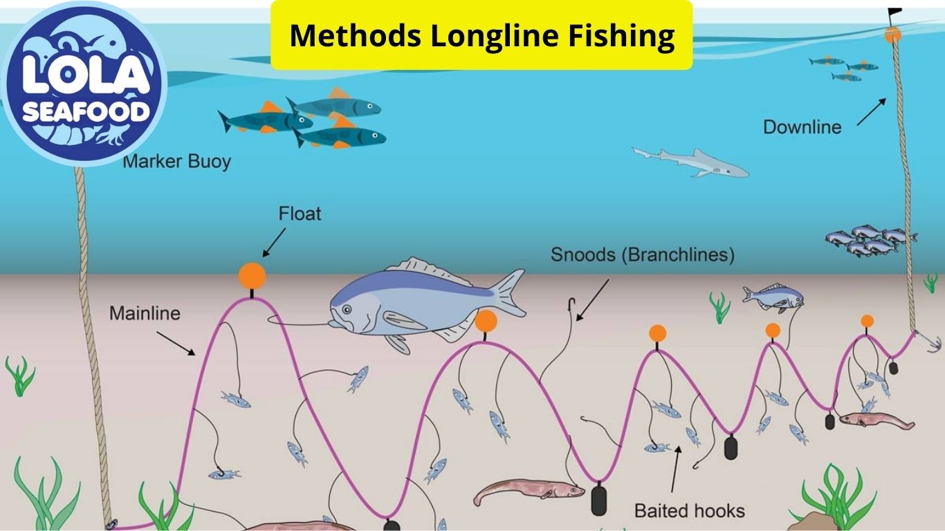 Methods Longline Fishing